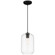 Clarity LED Pendant in Black (18|29010LEDDLPBLCLR)