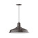 Warehouse One Light Pendant in Architectural Bronze (518|PEB18651C26G05)