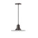 Radial One Light Pendant in Architectural Bronze (518|PEB15851C21G06)