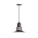Atomic One Light Pendant in Architectural Bronze (518|PEB14851C24G07)