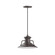 Homestead One Light Pendant in Architectural Bronze (518|PEB14251C21G06)