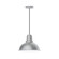 Cafe One Light Pendant in Painted Galvanized (518|PEB10749C16G06)