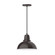 Cafe One Light Pendant in Architectural Bronze (518|PEB10651C22G06)