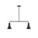 Axis Two Light Linear Pendant in Black (518|MSG43641)