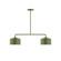 Axis Two Light Linear Pendant in Fern Green (518|MSG41922)