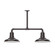 Warehouse Two Light Pendant in Architectural Bronze (518|MSD18251T48G06)