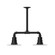 Radial Two Light Pendant in Black (518|MSB15741T30G06)