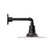 Radial One Light Wall Mount in Architectural Bronze (518|GNN15851G06)