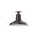 Warehouse One Light Flush Mount in Architectural Bronze (518|FMB18251G06)