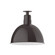 Deep Bowl One Light Flush Mount in Architectural Bronze (518|FMB11751G06)