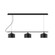 Axis Three Light Linear Chandelier in Black (518|CHD41941C22)