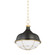 Holkham One Light Pendant in Aged Brass/Distressed Bronze (70|MDS1502AGBDB)