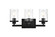 Saanvi Three Light Bath Sconce in Black and Clear (173|LD7316W18BLK)