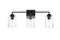 Ronnie Three Light Bath Sconce in Black and Clear (173|LD7314W23BLK)