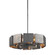 Impression Ten Light Chandelier in Graphite/Burnished Nickel (67|F6045GRABN)