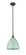 Edison One Light Mini Pendant in Oil Rubbed Bronze (405|6161SOBMBD12SF)