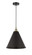 Edison LED Mini Pendant in Black Antique Brass (405|6161PBABMBC16BKLED)