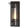 Torch One Light Outdoor Wall Sconce in Coastal White (39|305999SKT02ZS0664)
