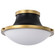 Lafayette One Light Flush Mount in Matte Black (72|607905)