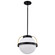 Lakeshore One Light Pendant in Matte Black (72|607775)