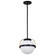 Lakeshore One Light Pendant in Matte Black (72|607773)