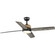 Shaffer II 56'' Ceiling Fan in Matte Black (54|P25009731M30)