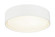 EZRA LED Ceiling Mount in White (423|M16613WH)