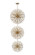 Vera 100 Light Chandelier in Satin Gold (173|2500G48L3SG)