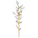 Foret Four Light Wall Sconce in Gold (48|9020502ST)