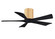 Irene-5H 42'' Ceiling Fan in Light Maple Tone (101|IR5HLMBK42)