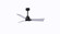 Alessandra - LK 42'' Ceiling Fan in Matte Black (101|AKLKBKBN42)