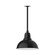 Cafe LED Pendant in Black (518|STA10741H36L13)