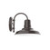 Warehouse LED Wall Sconce in Architectural Bronze (518|SCC18251L12)