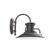 Homestead LED Wall Sconce in Architectural Bronze (518|SCC14251L12) Homestead LED Wall Sconce in Architectural Bronze (518|SCC14251L12)
