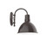 Deep Bowl One Light Wall Sconce in Architectural Bronze (518|SCC11551G06)