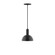 Ray LED Pendant in Black (518|PEBX45641C22L10)