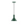 Chase LED Pendant in Forest Green (518|PEBX45142C25L10)