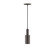 Spark LED Pendant in Architectural Bronze (518|PEBX45051C04L10)