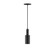 Spark LED Pendant in Black (518|PEBX45041C26L10)