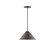 Pinnacle LED Pendant in Architectural Bronze (518|PEB42251C21L12)