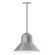 Prima LED Pendant in Painted Galvanized (518|PEB12549C12L13)