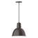 Deep Bowl LED Pendant in Architectural Bronze (518|PEB11651C02L12)