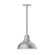 Cafe LED Pendant in Painted Galvanized (518|PEB10649C04L12)