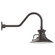 Homestead LED Gooseneck Wall Light in Architectural Bronze (518|GNB14251B01L12)