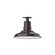 Warehouse LED Flush Mount in Architectural Bronze (518|FMB18251W12L12)