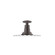 Radial One Light Flush Mount in Architectural Bronze (518|FMB15851G06)