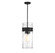 Ashton Three Light Pendant in Matte Black (159|V6L73704389)