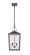 Devens Two Light Outdoor Hanging Lantern in Powder Coated Bronze (59|42655PBZ)