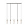 Beau Five Light Linear Chandelier in Brushed Nickel (224|740P5LBN)