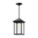 Larchmont One Light Exterior Pendant in Clear Glass/Textured Black (452|EP552009BKCL)